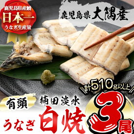 【ふるさと納税】鹿児島県大隅産！楠田の極うなぎ白焼き 3尾(有頭170g以上×3)こだわり真空パックで肉厚の国産鰻をお届け！ウナギ本来の旨味を味わえます！【楠田淡水】b2-012