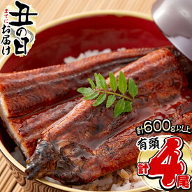 【ふるさと納税】《丑の日までにお届け》楠田の極うなぎ蒲焼き150g以上×4尾(計600g以上)箸で切れるほどふっくら柔らか！こだわり抜いて育てたウナギは脂の「甘み」が特徴！鰻のかば焼きたれ・山椒付き！【楠田淡水】b0-098