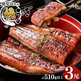 【ふるさと納税】楠田の極うなぎ蒲焼き170g以上×3尾(計510g以上)箸で切れるほどふっくら柔らか！こだわり抜いて育てたウナギは脂の「甘み」が特徴！鰻のかば焼きたれ・山椒付き！【楠田淡水】b2-010