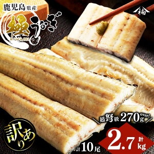 yӂ邳Ɣ[Łzy󂠂zYIc̋ɂȂĂ 10(v2.7kgȏE1270g`299g) Y Y V ^ Ⓚ Ă Ȃ 󂠂ycWz wa0-004