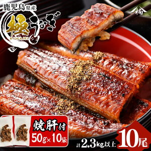 【ふるさと納税】楠田の極うなぎ蒲焼き230g以上×10尾(計2.3kg以上)うなぎ焼肝10袋付き!箸で切れるほどふっくら柔らか!こだわり抜いて育てたウナギは脂の「甘み」が特徴!鰻のかば焼きた