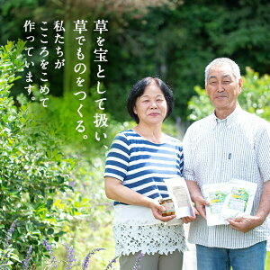 【ふるさと納税】鹿児島県産!春ウコン(粉末100g×2袋)こだわりの完全無農薬・無化学肥料栽培のうこんの粉タイプ!無添加だから安心♪【村留ハーブ園】P8-021