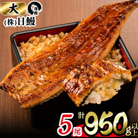 【ふるさと納税】うなぎ生産量日本一の鹿児島県産！日ノ本一の鰻の蒲焼き＜大＞5尾セット(計950g以上)たれ、山椒付き！「酸素たっぷり贅沢水」で育ったおいしいウナギ【日鰻】d2-004