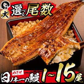 【ふるさと納税】【家計応援】【尾数が選べる！】＜肝串3本付き！＞うなぎ生産量日本一の鹿児島県産！日ノ本一の鰻の蒲焼き＜大＞1尾〜15尾！うなぎ 鰻 ウナギ 1尾 2尾 3尾 5尾 7尾 15尾 蒲焼き かばやき 冷凍 うな重 ひつまぶし タレ【日鰻】