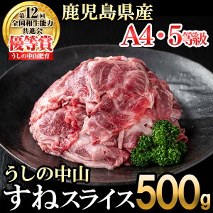 yӂ邳Ɣ[Łz̒R ˃XCX500g(500g×1) јa a   Y BY Y  Xl {ynixy CHUZANz a1-131