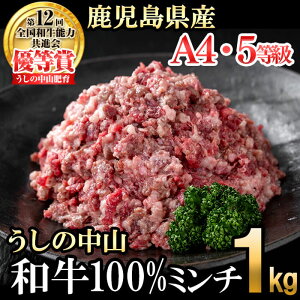 yӂ邳Ɣ[Łz̒R a100%~`1kg(500g×2) јa a   Y BY Y ~` Ђ no[O {ynixy CHUZANz a1-132
