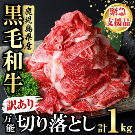 【ふるさと納税】【緊急支援品】【訳あり】黒毛和牛万能切り落とし肉 計1kg（500g×2P）鹿児島県産 黒毛和牛 和牛 切り落とし 肉 牛肉 国産 九州産 赤身 薄切りすき焼き しゃぶしゃぶ カレー 小分け 煮込み 訳あり 訳アリ 切落し【nixy CHUZAN】a1-143