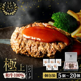【ふるさと納税】【内容量を選べる!】鹿児島県産 黒毛和牛100%使用 極上ハンバーグ(5個 or 8個 or 20個 or 定期便全3回/計24個) 和牛 ハンバーグ 冷凍ハンバーグ 肉 牛肉 国産 鹿児島県産 ミンチ 100% 小分け A4 A5 ランキング 定期便 頒布会【nixy CHUZAN】