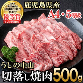 【ふるさと納税】うしの中山 切り落とし焼肉用500g×1P 黒毛和牛 和牛 肉 牛肉 国産 九州産 鹿児島県産 焼肉 日本一 【nixy CHUZAN】 b0-202