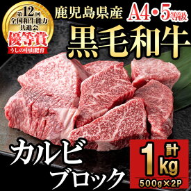 【ふるさと納税】うしの中山 カルビブロック(1kg) 黒毛和牛 和牛 肉 牛肉 国産 九州産 鹿児島県産 焼肉 カルビ 日本一【nixy CHUZAN】 c2-013