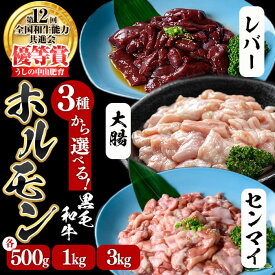 【ふるさと納税】【種類・内容量を選べる！】うしの中山 ホルモン(大腸)・赤センマイ(ギアラ)・レバー〈計500g～3kg（各500g×1～6P）〉黒毛和牛 和牛 肉 ホルモン 国産 九州産 鹿児島県産 焼肉 煮込み 鍋料理 もつ鍋 日本一【nixy CHUZAN】