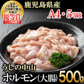 【ふるさと納税】うしの中山 ホルモン(大腸)500g(500g×1袋) 黒毛和牛 和牛 肉 牛肉 国産 九州産 鹿児島県産 ホルモン 焼肉 日本一【nixy CHUZAN】 p9-028