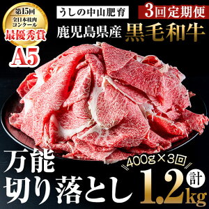 yӂ邳Ɣ[Łzy֑S3zA4EA5јa\؂藎Ƃ v1.2kgi400g×1PES3jјa a ؂藎Ƃ   Y BY Y Ă Ԃ  