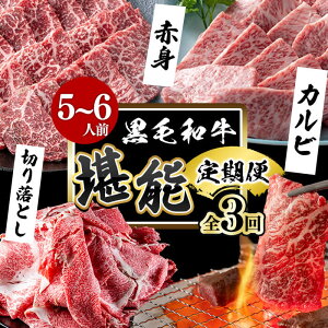 yӂ邳Ɣ[Łzy֑S3zјa\ցi5`6ljd1.8kg Y јa a   Y BY Y ē Ă BBQ LO lC A4 A5 Ԑg