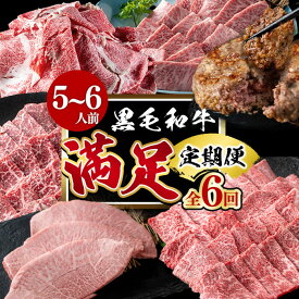 【ふるさと納税】【定期便全6回】黒毛和牛堪能！＜満足＞定期便（5～6人分）鹿児島県産 黒毛和牛 和牛 肉 牛肉 国産 九州産 鹿児島県産 焼肉 焼き肉 BBQ A4 A5 赤身 切り落とし カルビ お楽しみ 食べ比べ ハンバーグ ミスジ 霜降り ステーキ 2人前【nixy CHUZAN】t0118-002