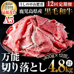 yӂ邳Ɣ[Łzy֑S12zA4EA5јa\؂藎Ƃ v4.8kgi400g×1PES12jјa a ؂藎Ƃ   Y BY Y Ă Ԃ 