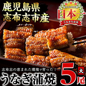 【ふるさと納税】鰻生産量日本一の鹿児島県産！うなぎの大楠＜大＞5尾セット計750g(150g×5尾) うなぎ 鰻 ウナギ 国産 九州産 蒲焼き かばやき 冷凍 うな重 ひつまぶし タレ 山椒 真空パック ランキング 人気【大楠鰻】c4-009