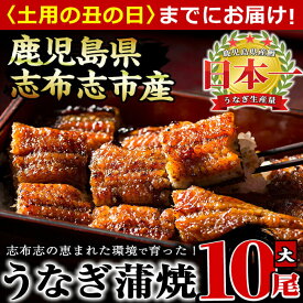 【ふるさと納税】鰻生産量日本一の鹿児島県産！うなぎの大楠＜大＞10尾セット計1.5kg(150g×10尾) うなぎ 鰻 ウナギ 国産 九州産 蒲焼き かばやき 冷凍 うな重 ひつまぶし タレ 山椒 真空パック ランキング【大楠鰻】f7-001