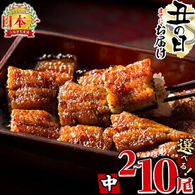 【ふるさと納税】【7/7までの入金で丑の日までにお届け】【尾数が選べる！】鹿児島県産 うなぎの大楠＜中＞2尾〜10尾！うなぎ 鰻 ウナギ 2尾 4尾 5尾 10尾 国産 九州産 蒲焼き かばやき 冷凍 うな重 ひつまぶし タレ 山椒 真空パック ランキング 人気【大楠鰻】