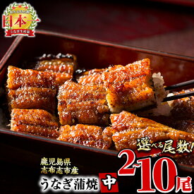 【ふるさと納税】【尾数が選べる！】鹿児島県産 うなぎの大楠＜中＞2尾〜10尾！うなぎ 鰻 ウナギ 2尾 4尾 5尾 10尾 国産 九州産 蒲焼き かばやき 冷凍 うな重 ひつまぶし タレ 山椒 真空パック ランキング 人気【大楠鰻】