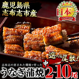 【ふるさと納税】鹿児島県産 うなぎの大楠＜中＞2尾〜10尾！うなぎ 鰻 ウナギ 2尾 4尾 5尾 10尾 国産 九州産 蒲焼き かばやき 冷凍 うな重 ひつまぶし タレ 山椒 真空パック ランキング 人気 【尾数が選べる！】【大楠鰻】