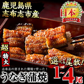 【ふるさと納税】【尾数が選べる！】鹿児島県産 うなぎの大楠＜超特大＞1尾〜4尾！うなぎ 鰻 ウナギ 1尾 2尾 4尾 国産 九州産 蒲焼き かばやき 冷凍 うな重 ひつまぶし タレ 山椒 真空パック ランキング 人気 【大楠鰻】