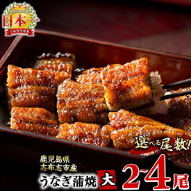 【ふるさと納税】【尾数が選べる！】鹿児島県産 うなぎの大楠＜大＞2尾～4尾！うなぎ 鰻 ウナギ 2尾 4尾 国産 九州産 蒲焼き かばやき 冷凍 うな重 ひつまぶし 山椒 タレ 真空パック ランキング 人気【大楠鰻】
