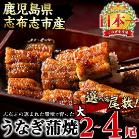 【ふるさと納税】鹿児島県産 うなぎの大楠＜大＞2尾〜4尾！うなぎ 鰻 ウナギ 2尾 4尾 国産 九州産 蒲焼き かばやき 冷凍 うな重 ひつまぶし 山椒 タレ 真空パック ランキング 人気 【尾数が選べる！】【大楠鰻】