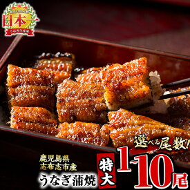 【ふるさと納税】【尾数が選べる！】鹿児島県産 うなぎの大楠＜特大＞1尾〜10尾！うなぎ 鰻 ウナギ 1尾 3尾 6尾 10尾 国産 九州産 蒲焼き かばやき 冷凍 うな重 ひつまぶし タレ 山椒 真空パック ランキング 人気 【大楠鰻】