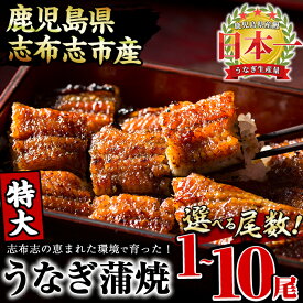【ふるさと納税】鹿児島県産 うなぎの大楠＜特大＞1尾〜10尾！うなぎ 鰻 ウナギ 1尾 3尾 6尾 10尾 国産 九州産 蒲焼き かばやき 冷凍 うな重 ひつまぶし タレ 山椒 真空パック ランキング 人気 【尾数が選べる！】【大楠鰻】