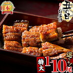 【丑の日までにお届け！7月10日入金まで】【尾数が選べる！】鹿児島県産 うなぎの大楠＜特大＞1尾～10尾！うなぎ 鰻 ウナギ 1尾 3尾 6尾 10尾 国産 九州産 蒲焼き かばやき 冷凍 うな重 ひつまぶし タレ 山椒 真空パック ランキング 人気【大楠鰻】