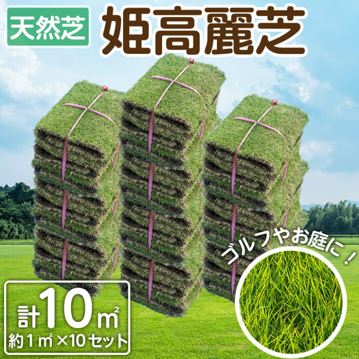 楽天市場】【ふるさと納税】天然芝＜姫高麗芝＞ 10平米 ゴルフやお庭に 