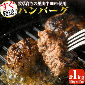 楽天市場 牧草牛の通販