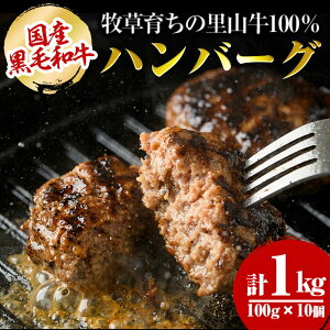 yӂ邳Ɣ[ŁzYјa q炿̗R100%gpIno[O 1kg (100g×10j јa a   Y no[O 100%  y؁yza5-276