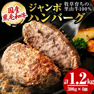 yӂ邳Ɣ[ŁzYјa q炿̗R100%gpIW{no[O 1.2kg (300g×4jјa a   Y no[O W{no[O Ⓚno[O Z ^