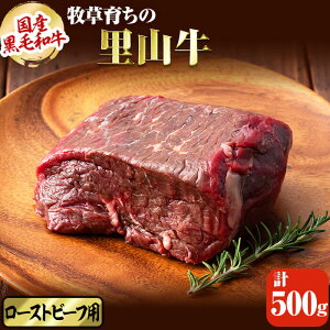 yӂ邳Ɣ[ŁzYјa q炿̗R [Xgr[tpubNv500gI јa a   Y [Xgr[t ubN Ԑgyza9-020