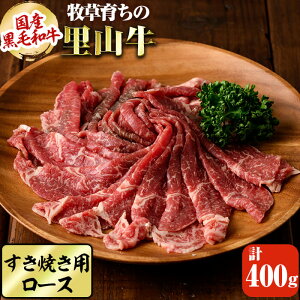 yӂ邳Ɣ[ŁzYјa q炿̗R Ăp[Xv400gi200g×2pbN) јa a   Y [X Ă ^pbNyza9-024