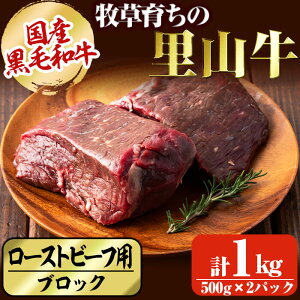 yӂ邳Ɣ[ŁzYјa q炿̗R [Xgr[tpubNv1kg(500g×2pbN) јa a   Y [Xgr[t ubN Ԑgyzc5-027