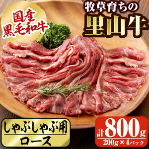 yӂ邳Ɣ[ŁzYјa q炿̗R Ԃԗp[X v800g(200g×4P)! јa a   Y [X Ԃ Ԑg yzc5-029