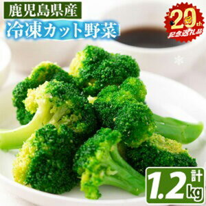 yӂ邳Ɣ[Łzyuzus20NLOzs\tI12`1ɔyʌzYⓀubR[200g×6(1.2kg) YⓀ؁IubR[  Ⓚ Jbg J