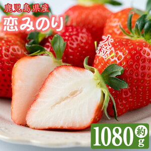 yӂ邳Ɣ[Łzqs\tIryԌzyʌzŶC`Sû݂v1080g(270g×4pbN)  C`S  ʕ t[c XC[c fU[g َq l