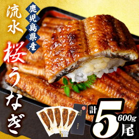 【ふるさと納税】うなぎの柳澤 流水桜うなぎの蒲焼き 計5尾＜計600g＞ うなぎ 鰻 ウナギ 国産 鹿児島県産 九州産 蒲焼き 冷凍 うな重 ひつまぶし【柳沢養鰻】 a9-040