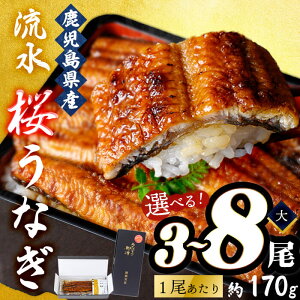 yӂ邳Ɣ[ŁzyIׂIzȂ̖V Ȃ̊ĂTCY(1170g)3 or 8I ȂYʓ{̎YIn̋ZႦIȂ V EiM 