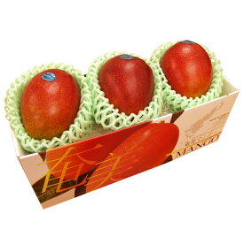 【ふるさと納税】奄美マンゴー　化粧箱（2〜3玉詰）【送料無料】