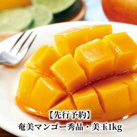 【ふるさと納税】 マンゴー 1kg 約2〜4玉 秀品 美玉 奄美産 完熟奄美マンゴー のし対応可 産地直送 鹿児島県 奄美市 お取り寄せ お取り寄せフルーツ 果物 トロピカルフルーツ 南国フルーツ ギフト 送料無料