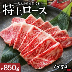 yӂ邳Ɣ[Łz  ネ[X ē 850g   [X Y јa  a ̎| Â IC_ SĂ   Hi  Y Y Ya 