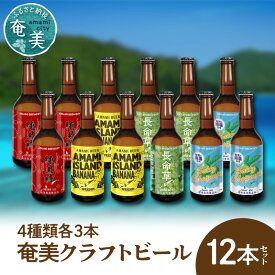 【ふるさと納税】クラフトビール ブラウンエール ヴァイツェン ペールエール 330ml 4種類 各3本 計12本 家飲み ビール 地ビール 瓶ビール 鹿児島 奄美大島 純黒糖 ショウガ 島ばなな 長命草 シークニン ソルティー