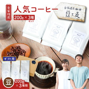 【ふるさと納税】<選べる>【ギフト用】 自家焙煎 豆と麦 コーヒー 豆 or 粉 計600g グアテマラ ブレンド 中深煎り コク 甘み モカ 珈琲 美味しい ホットコーヒー アイスコーヒー 自家焙煎珈
