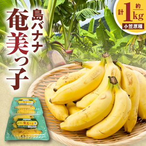 yӂ邳Ɣ[ŁzyԌz oii q } 1kg 500g × 2P  oii Ԃ Z Â  t[c ʕ ʎ fU[g ͂ H ̕󍇓 ӂ邳Ɣ[ 