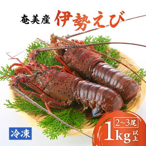 yӂ邳Ɣ[Łz ɐ  1kg ȏ 2 ` 3    ɐCV CV   bk CN 哇Y Y Y Ⓚ VN Z X` p O[XgA  
